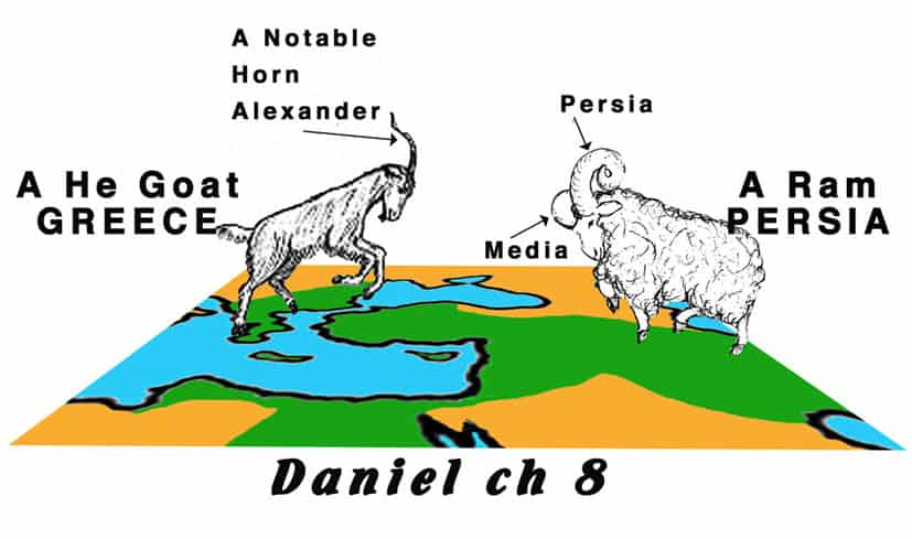 goat-and-ram-copy