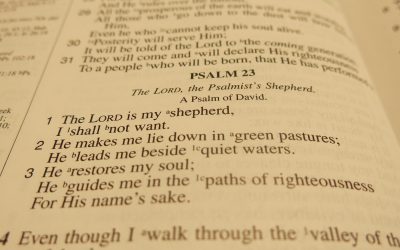 Prophetic Psalms to be Read Standing in a Jew’s Shoes