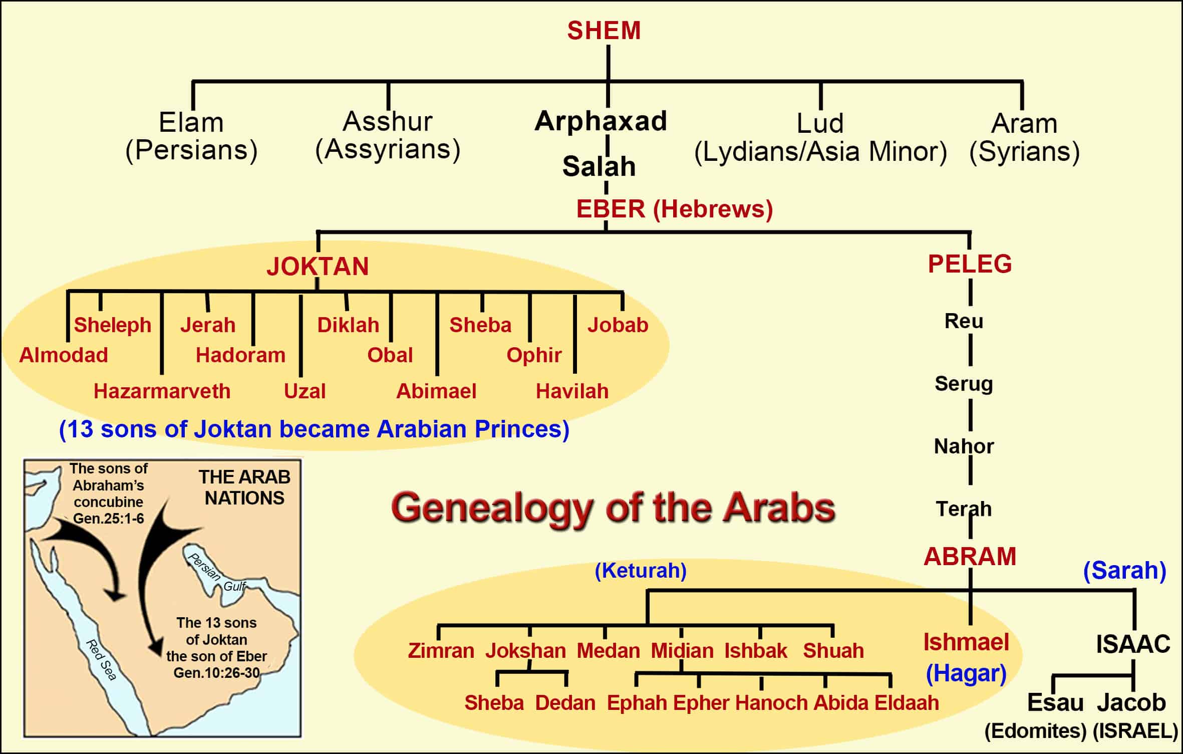ORIGIN OF THE THE ARAB