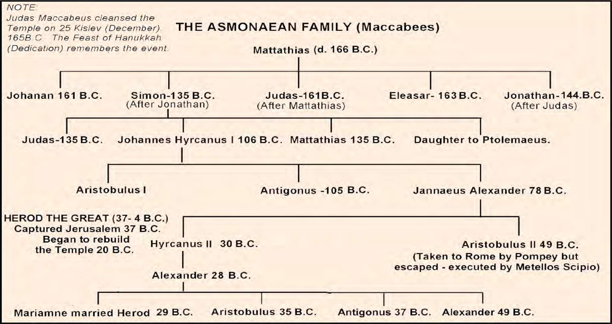 THE MACCABEAN FAMILY TREE