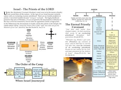 19-Phinehas line to Zadok.jpg