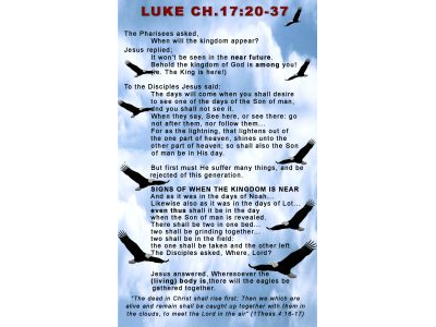 1549934355wpdm_75-LUKE 17 CHART.jpg