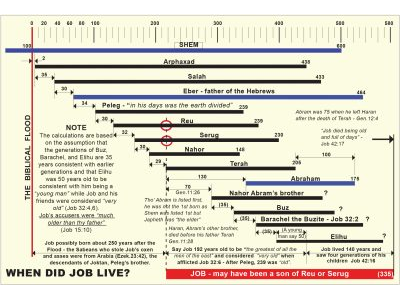 5-JOBs AGE.jpg